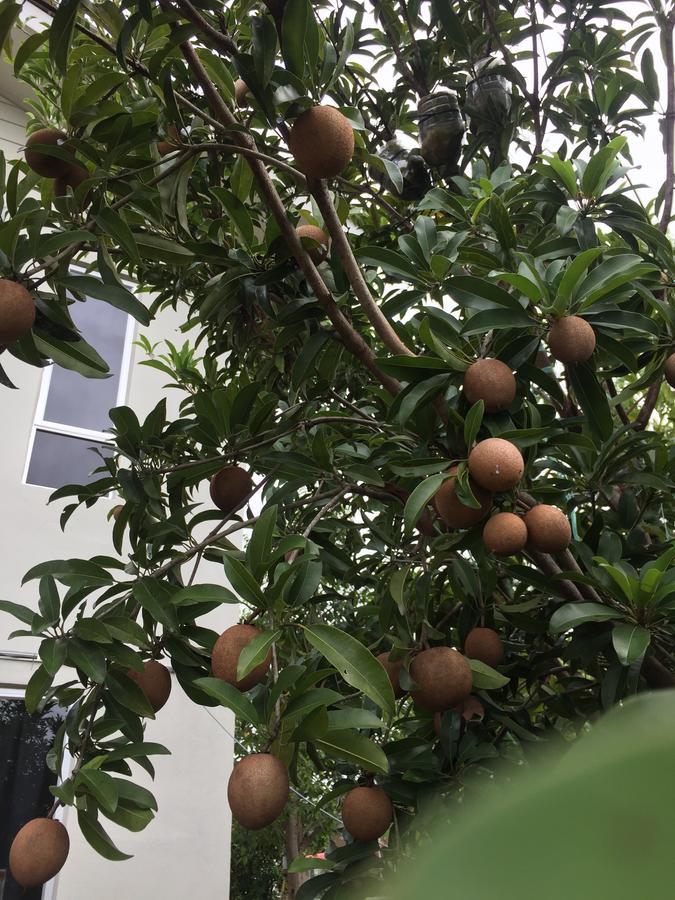 家庭小屋25旅馆 哥打巴鲁 外观 照片